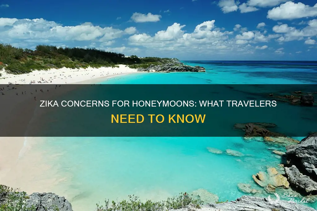 should we be concerned about zika for honeymoon