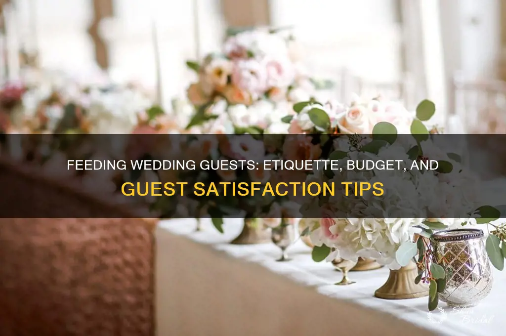 should we feed wedding guests