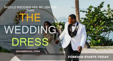 Veil and Dress: The Perfect Wedding Contrast