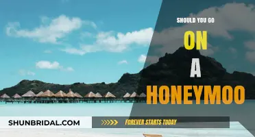 Honeymoon Dilemma: Is It Worth It After the Wedding?