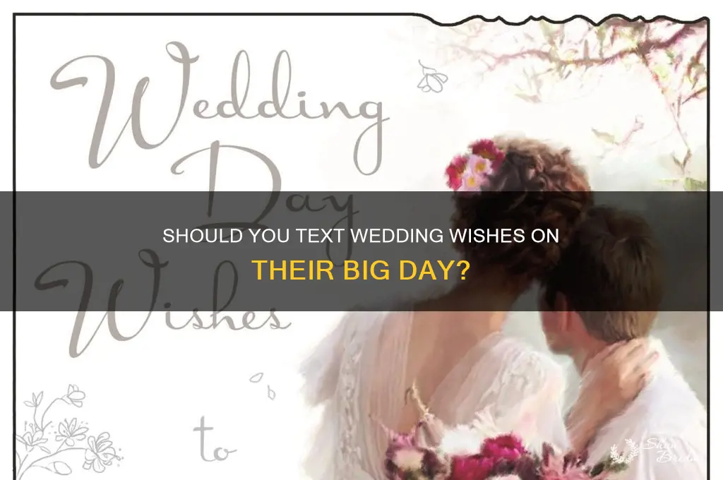 should you text somone on thier wedding day to wish