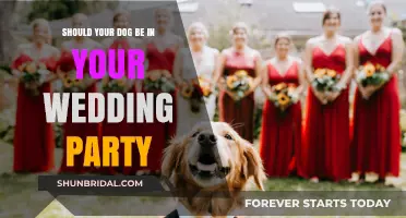 Paws or Pass: Should Your Dog Join Your Wedding Party?