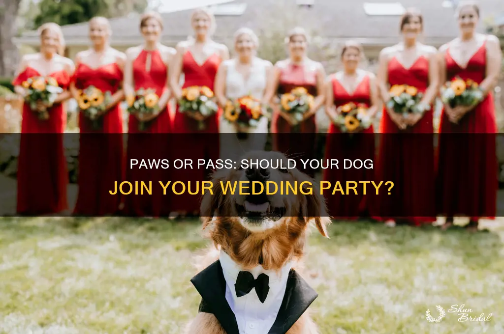 should your dog be in your wedding party