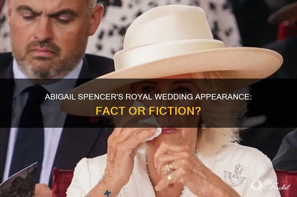 was abigail spencer at the royal wedding