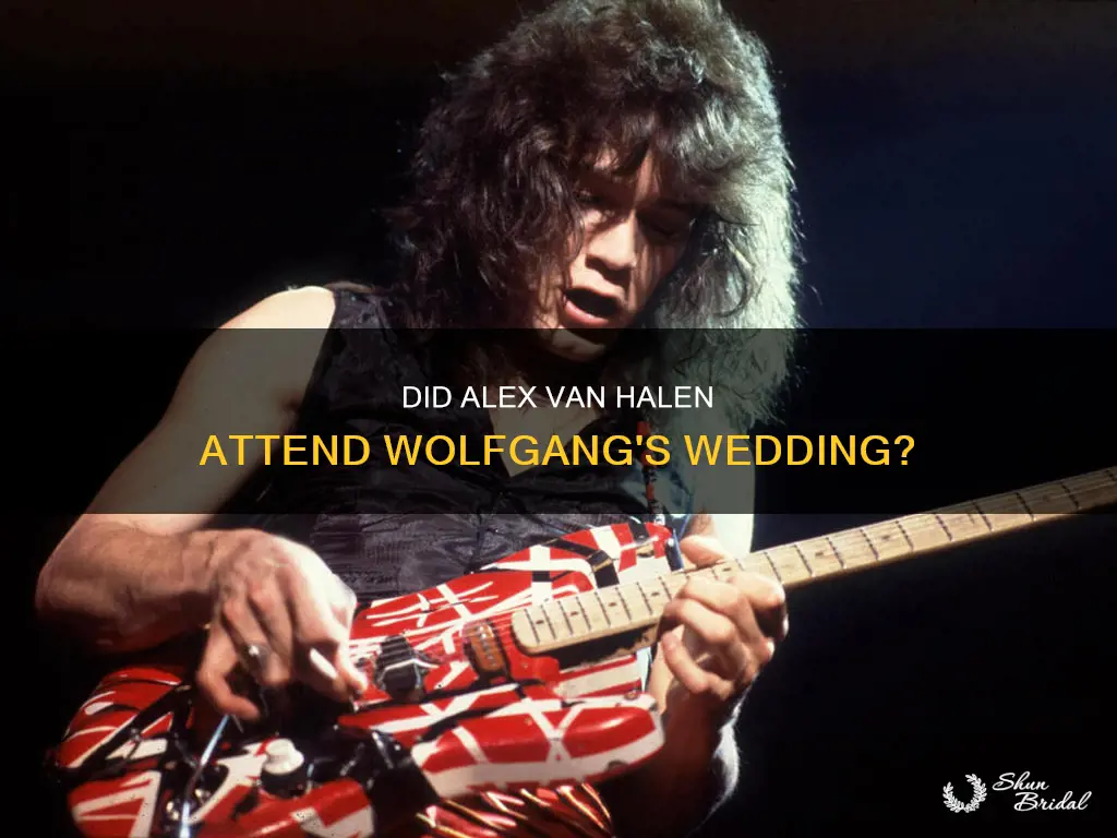 was alex van halen at wolfgang