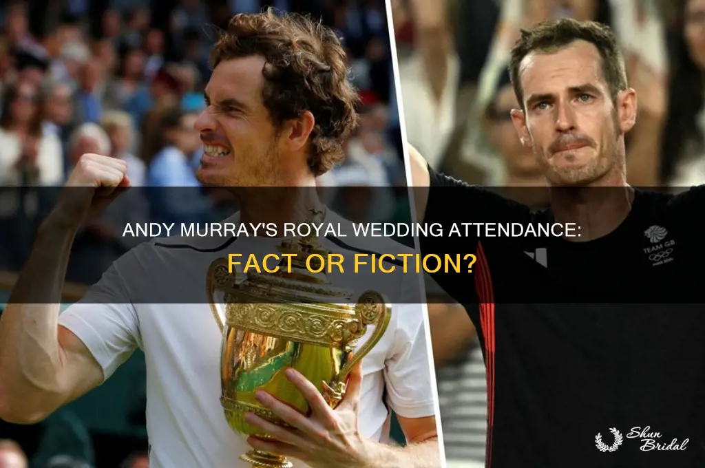 was andy murray at the royal wedding