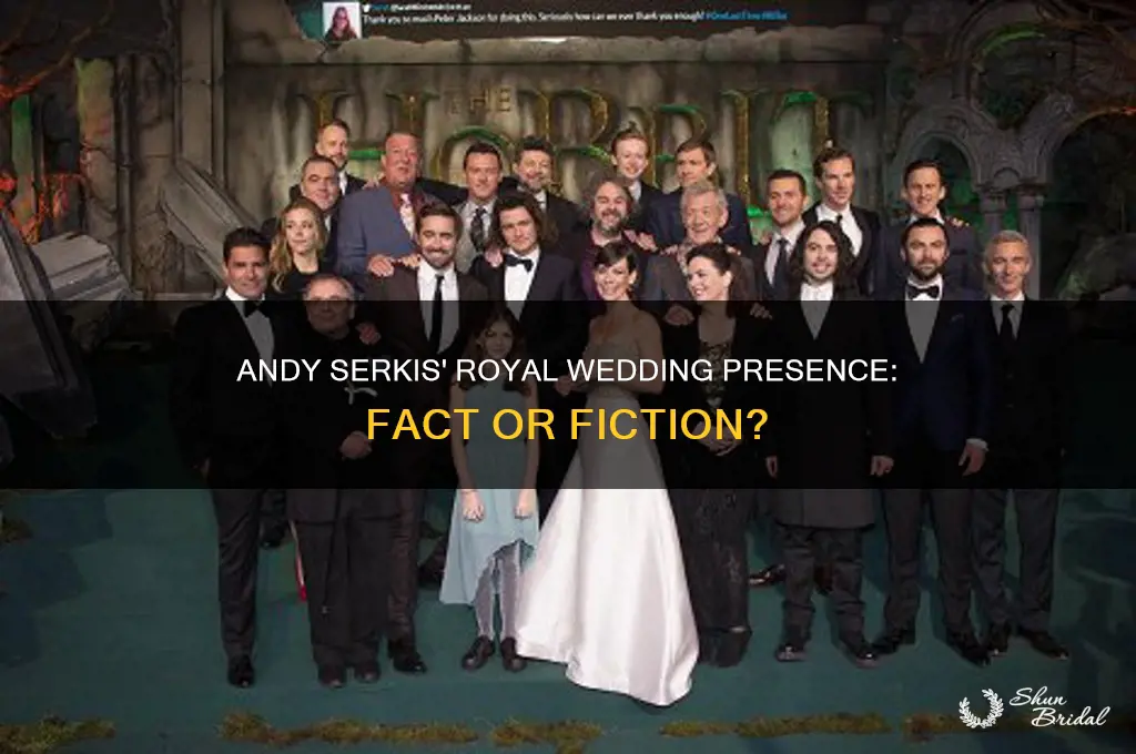 was andy serkis at the royal wedding