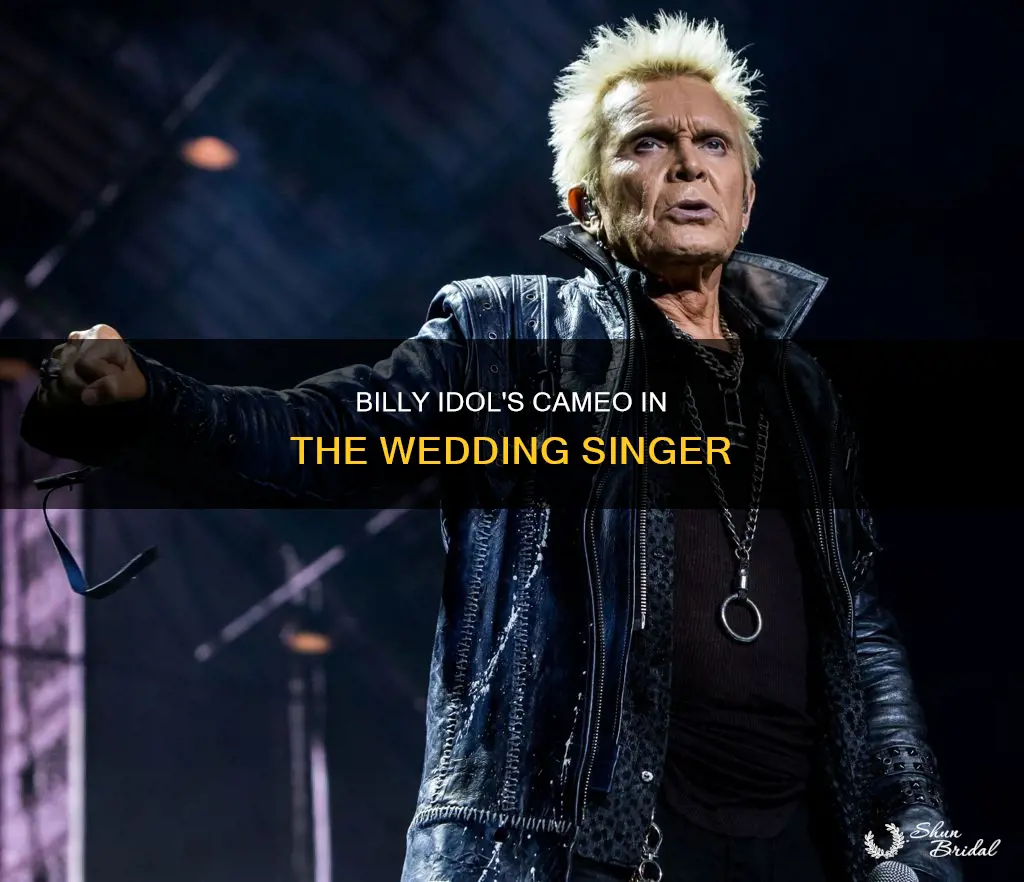 was billy idol in the wedding singer