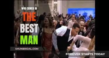 Cameo's Performance in The Best Man: A Memorable Surprise