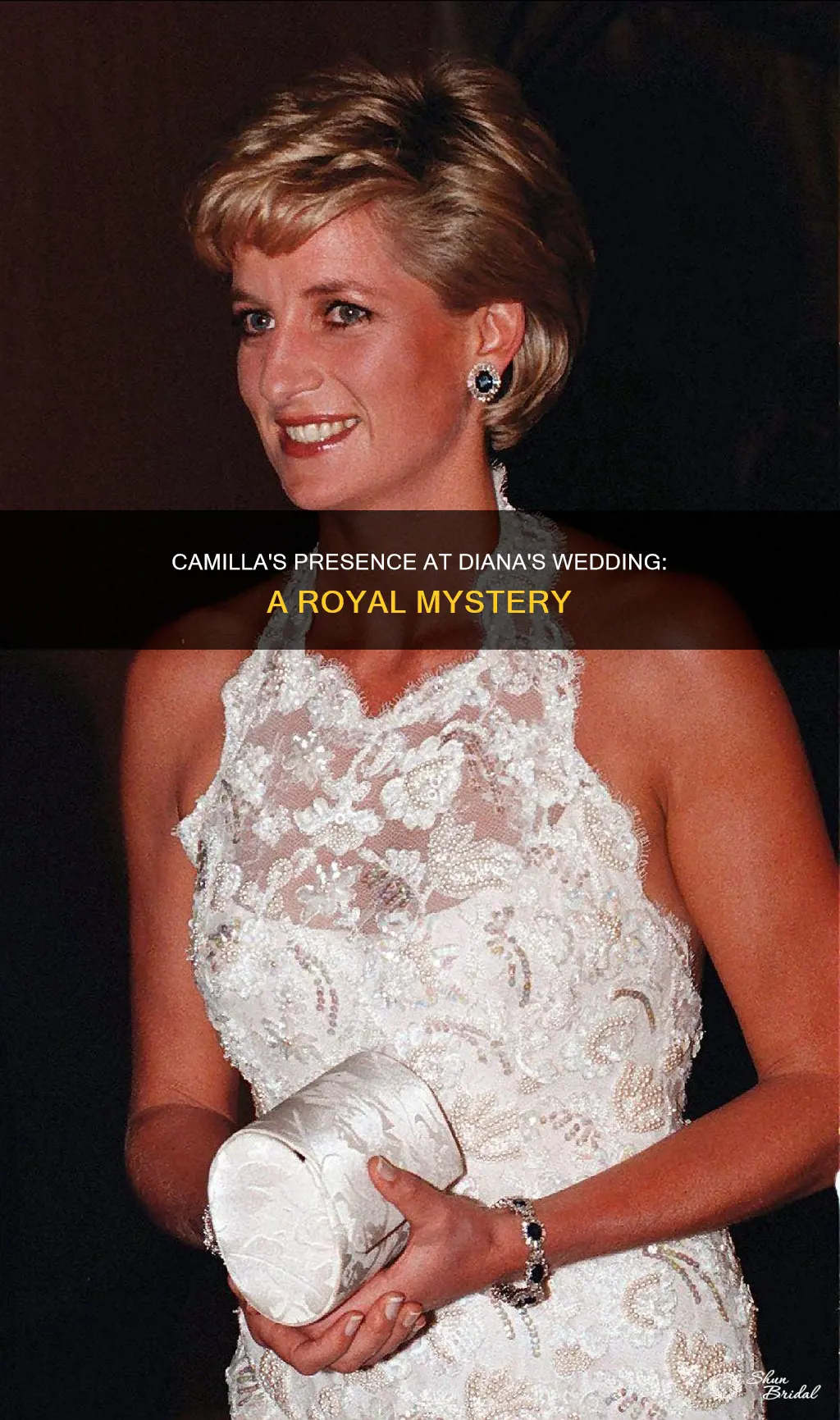 was camilla at diana