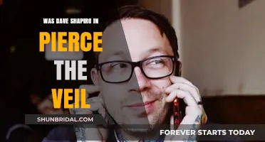 Was Dave Shapiro Ever a Member of Pierce the Veil?