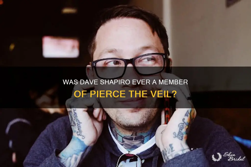 was dave shapiro in pierce the veil