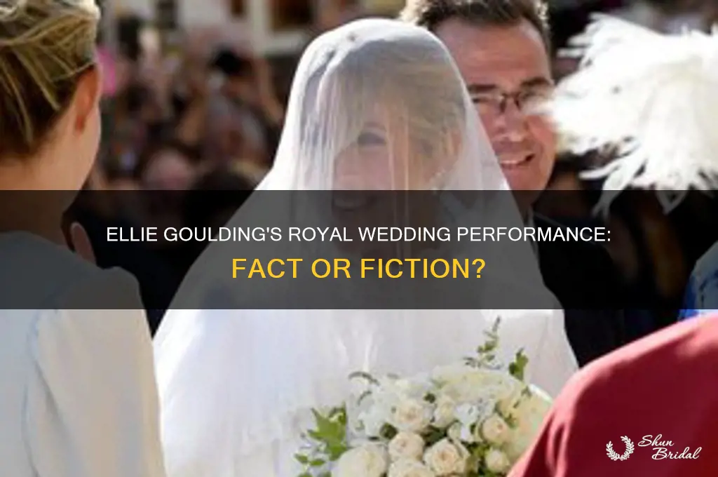 was ellie goulding at royal wedding