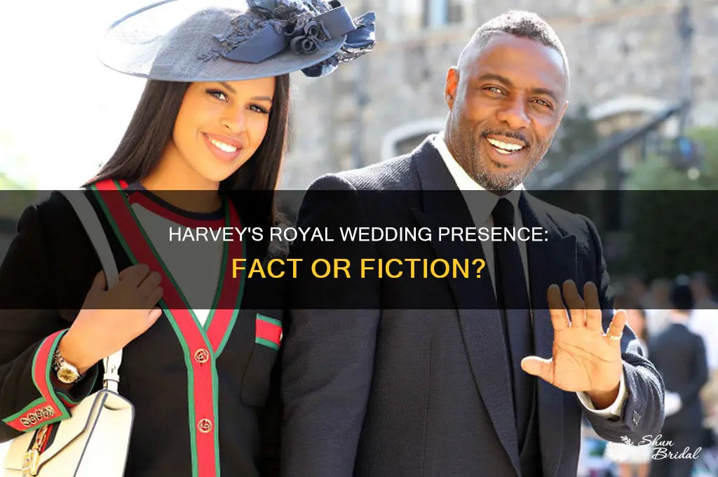was harvey at royal wedding