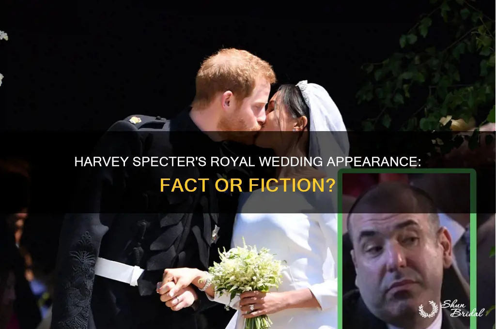 was harvey from suits at the royal wedding