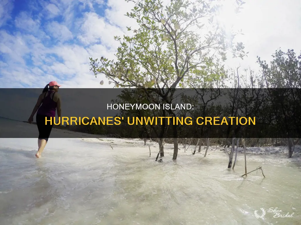 was honeymoon island created by two hurricanes