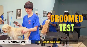 Understanding Grooming: A Self-Assessment Guide