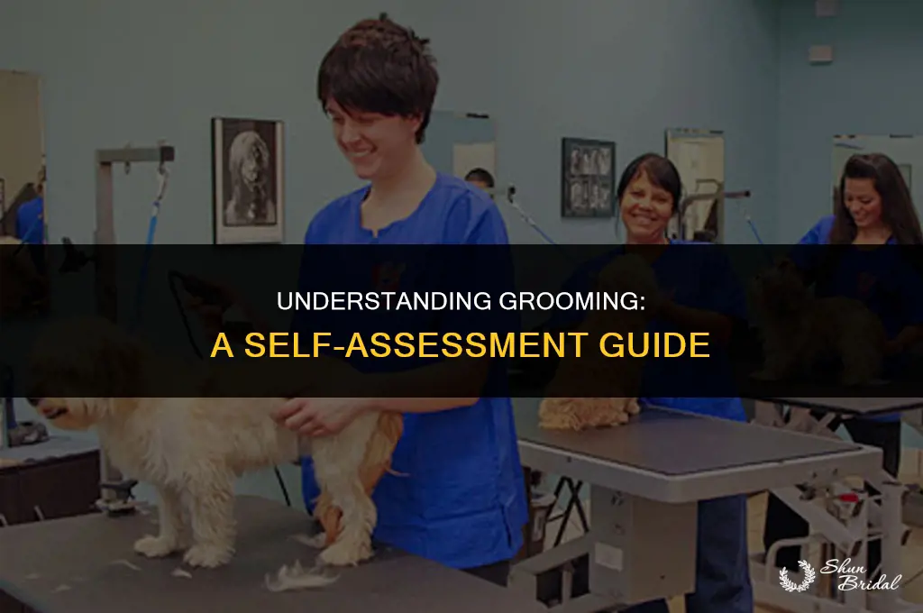 was i groomed test
