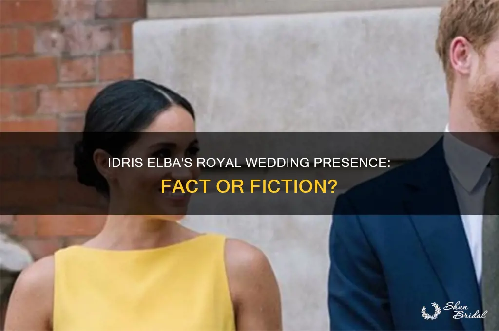 was idris alba at the royal wedding