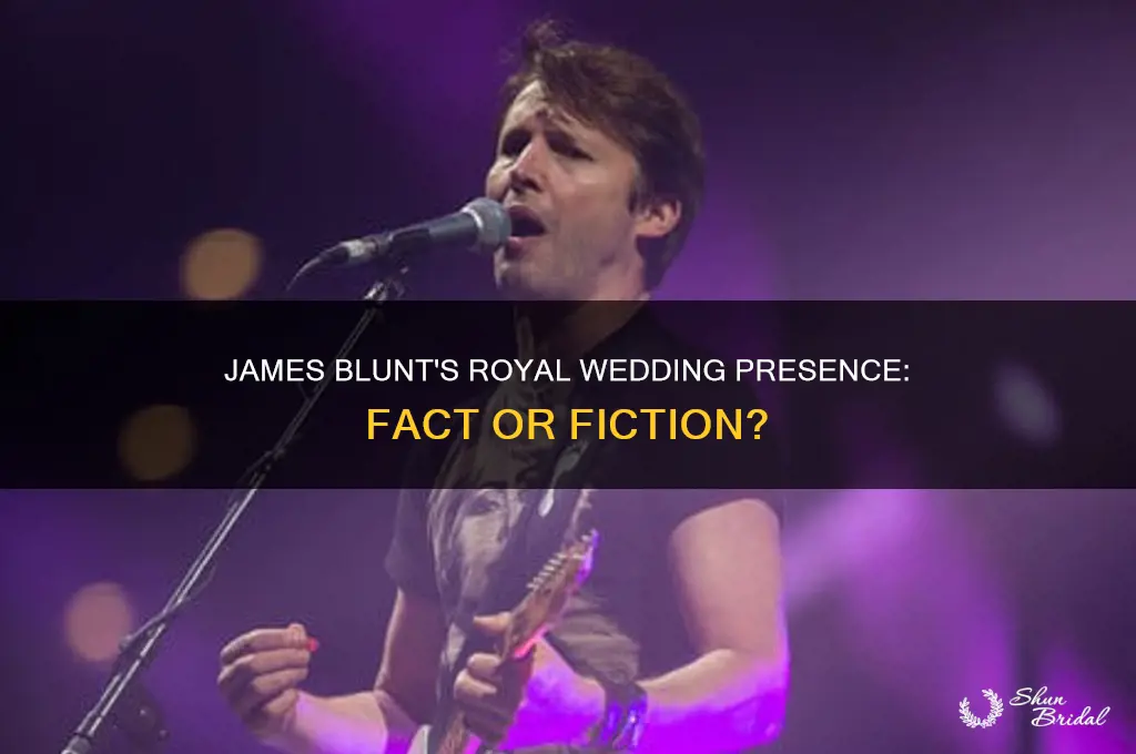 was james blunt at the royal wedding