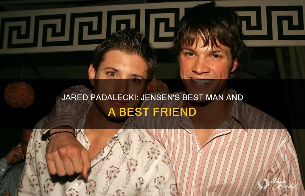 was jared padaleki jensons best man