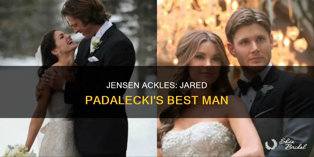 was jensen jared