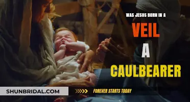 Was Jesus a Caulkbearer? Exploring the Veil Birth Theory