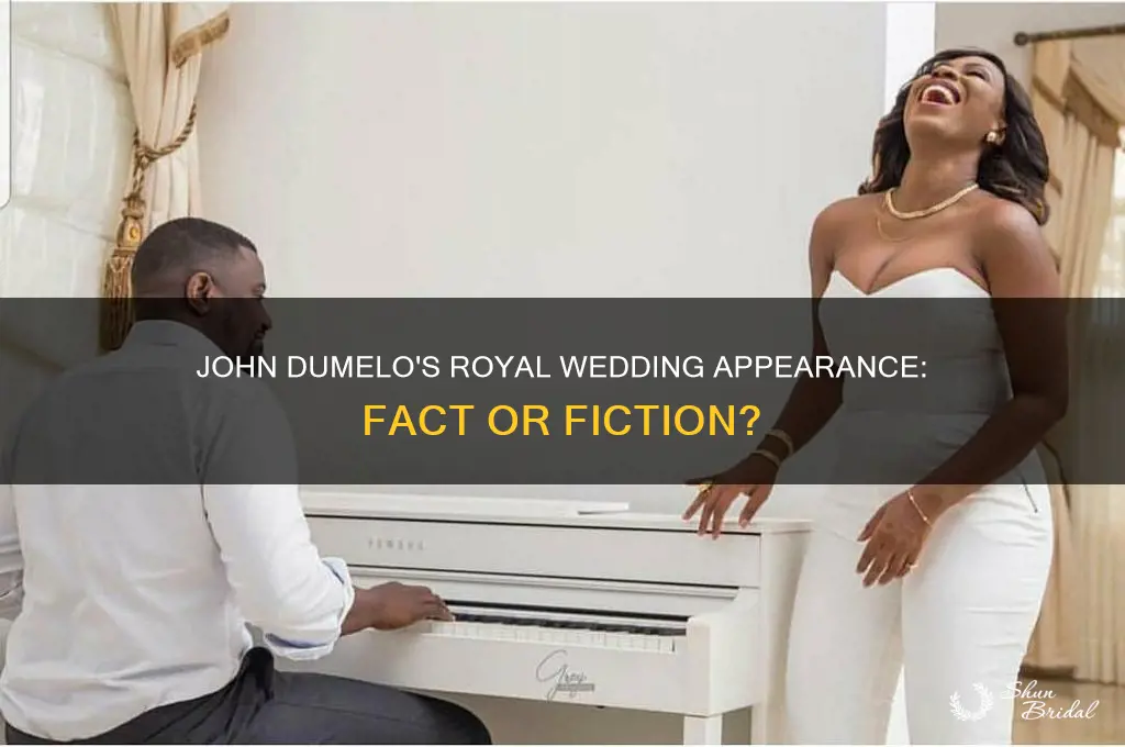 was john dumelo at the royal wedding