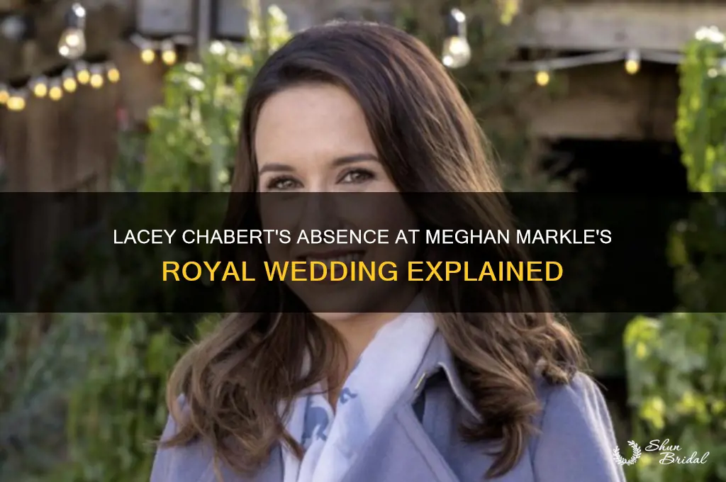 was lacey chabert at meghan markle royal wedding