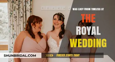 Lucy from Timeless: Did She Attend the Royal Wedding?