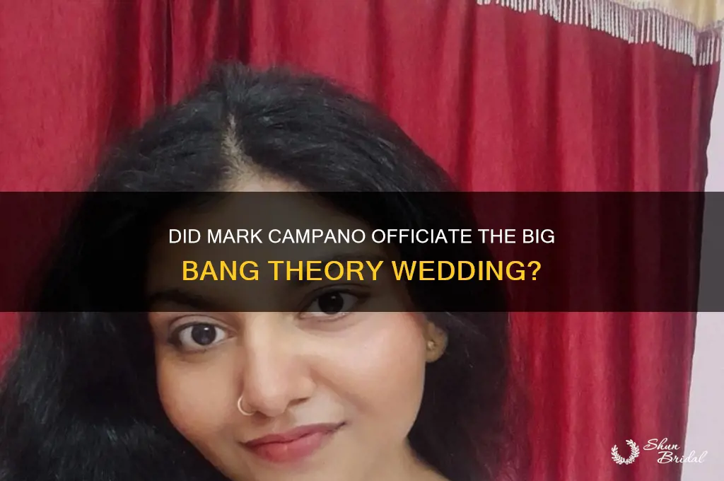 was mark campmo officiate big bank theory wedding