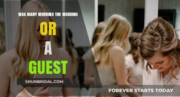 Mary's Role at the Wedding: Worker or Honored Guest?