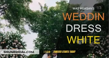 Meagan's Wedding Dress: White or Not?