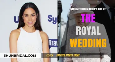 Meghan Markle's Dog: Was Her Furry Friend at the Royal Wedding?