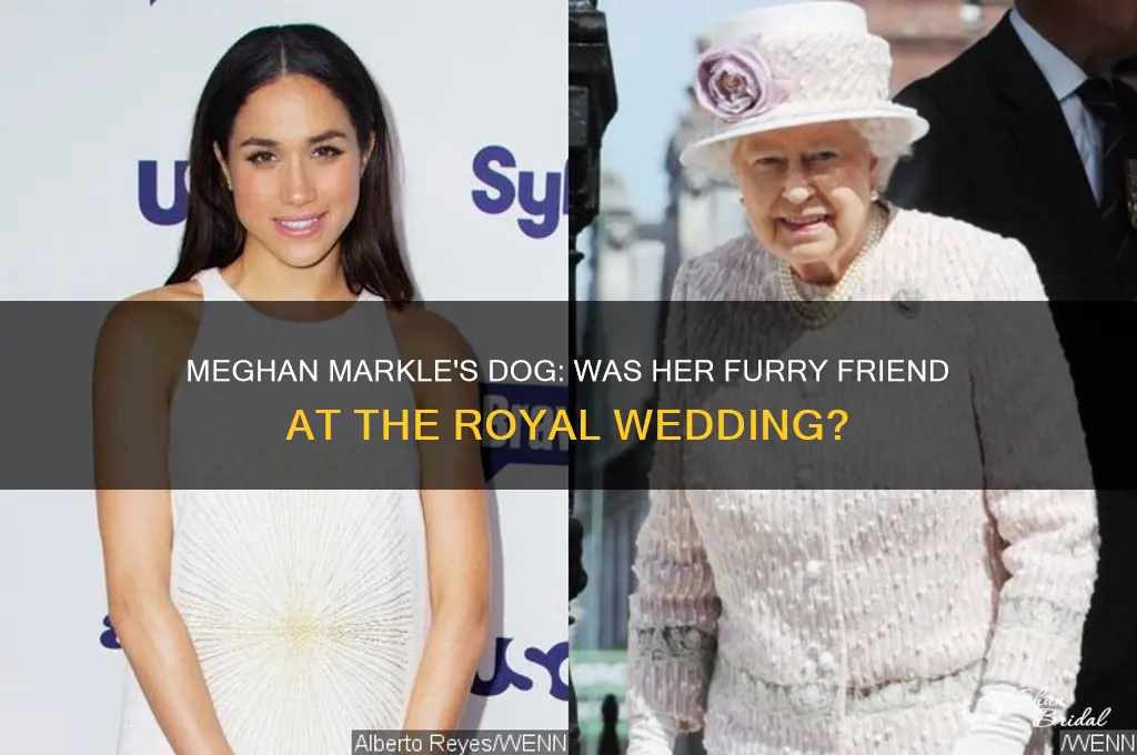 was meghan markle