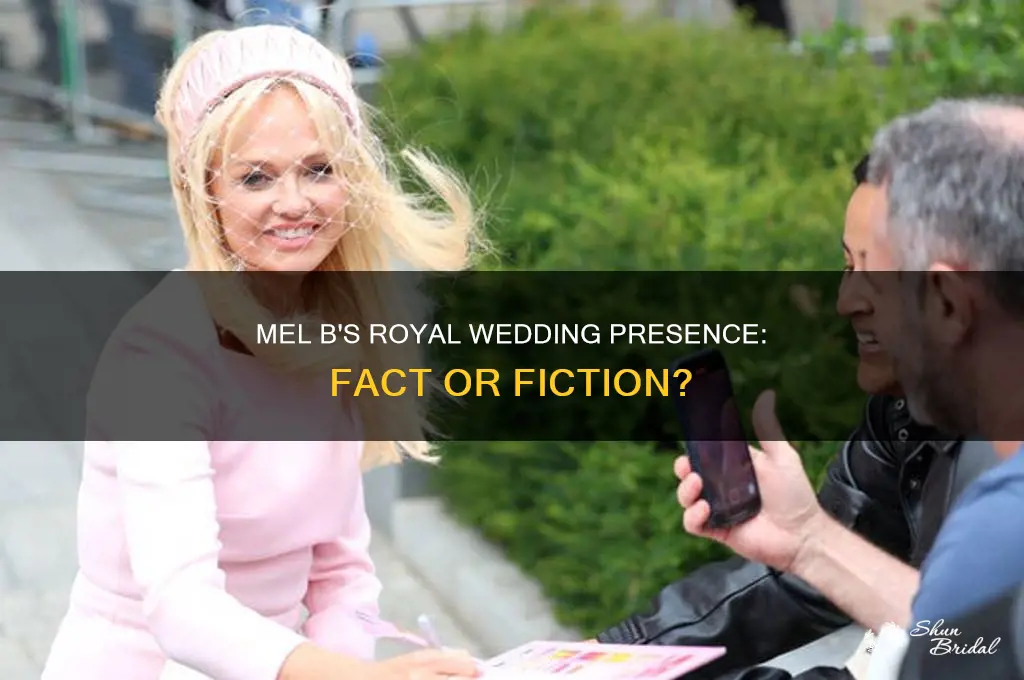was mel b at the royal wedding