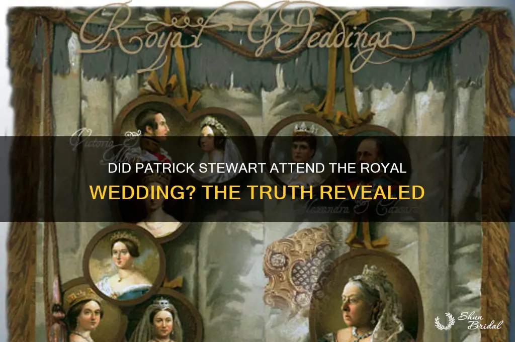was patrick stewart at the royal wedding