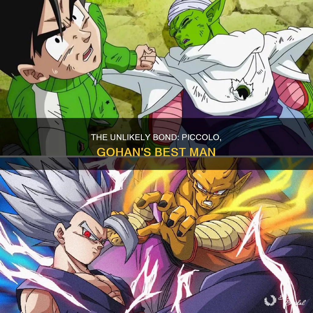 was piccolo gohan