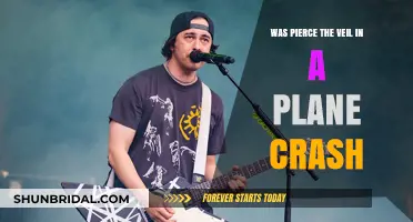 Pierce the Veil Plane Crash: Separating Fact from Fiction
