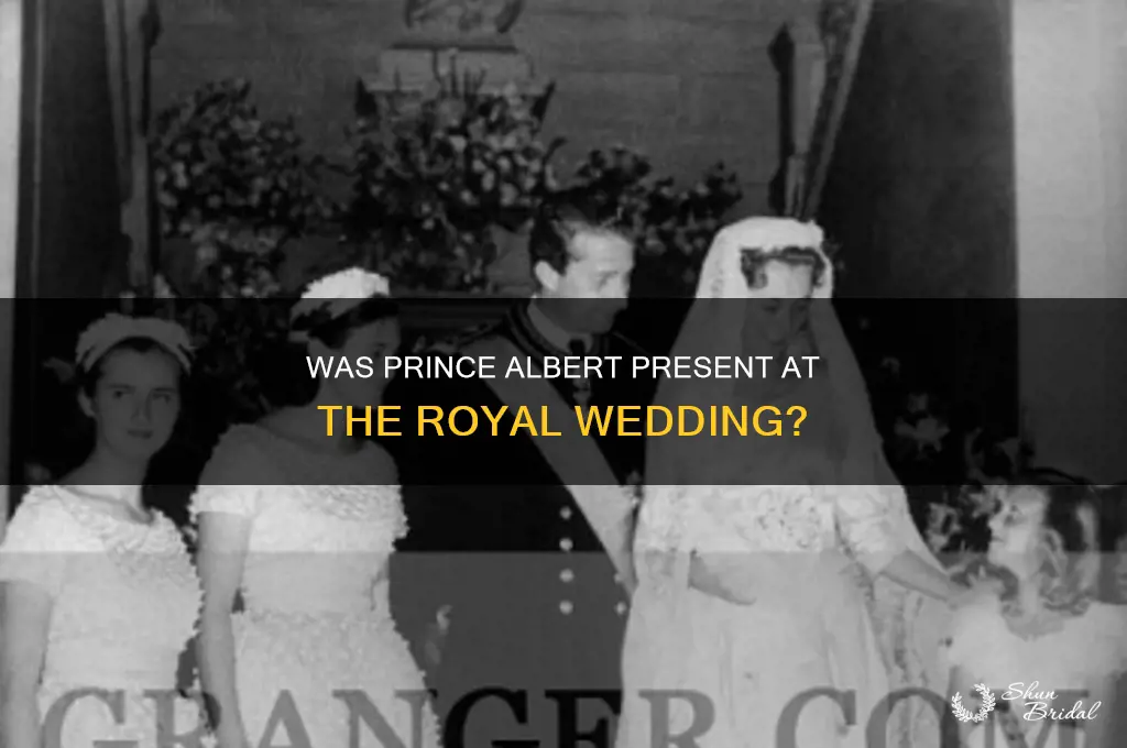 was prince albert at the royal wedding