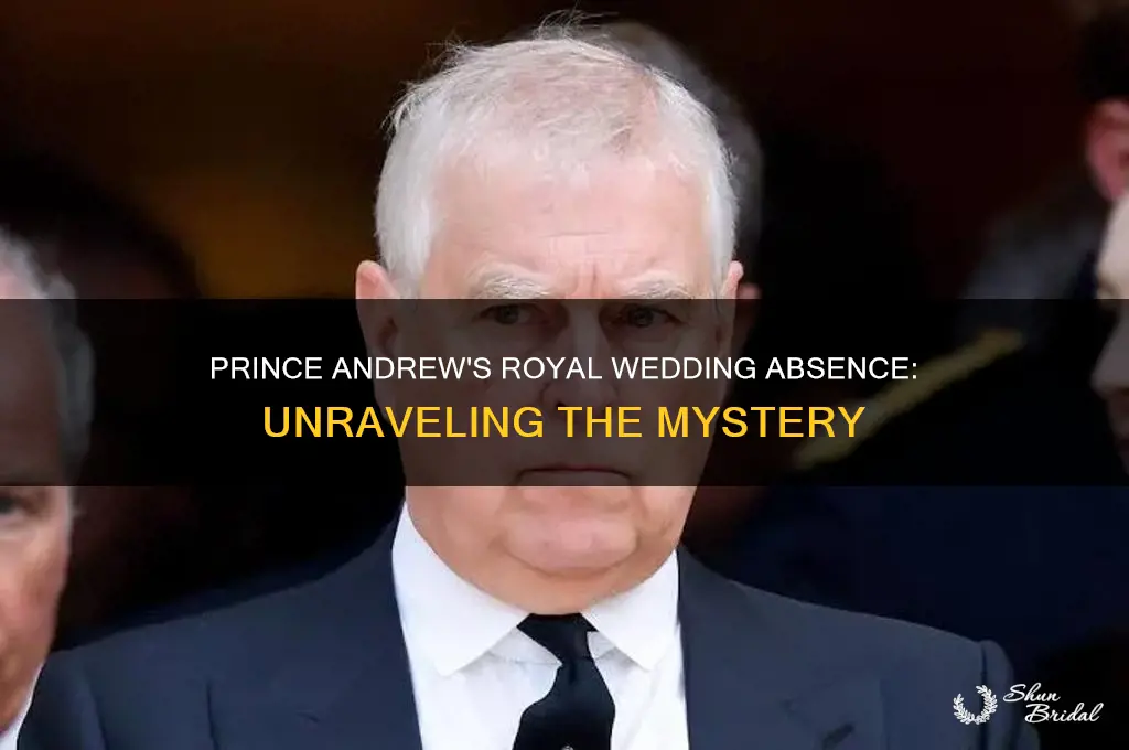was prince andrew at the royal wedding yesterday