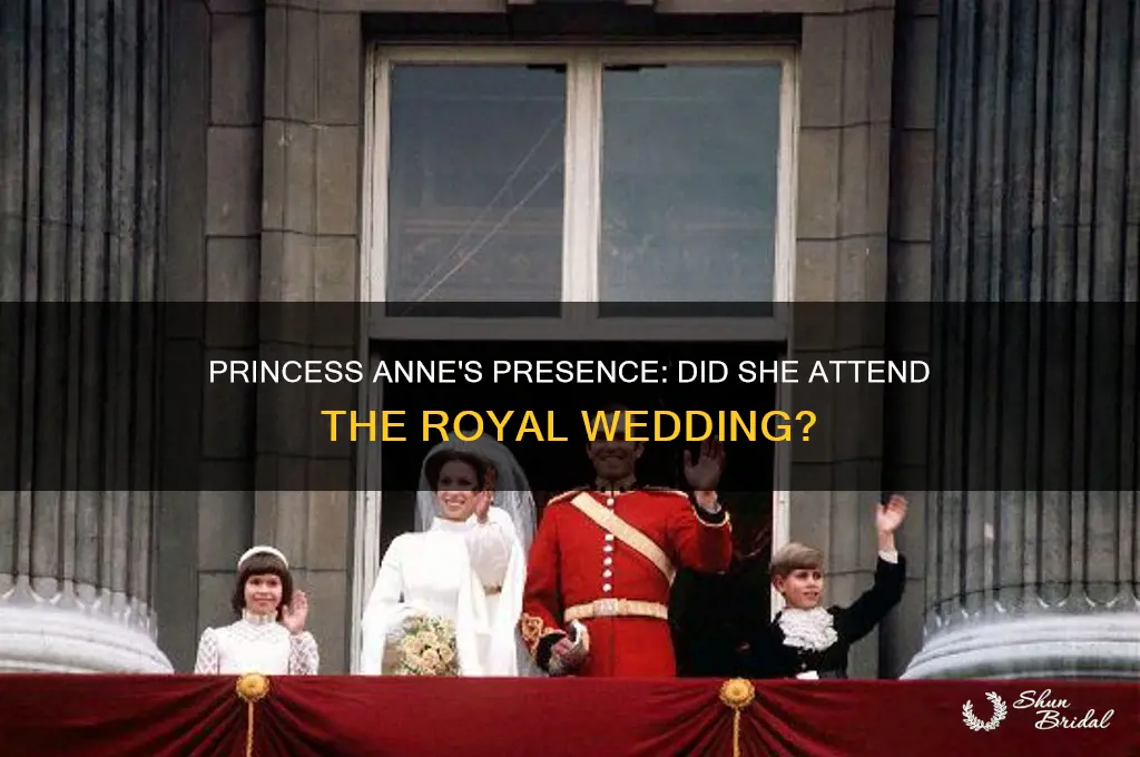 was princess anne at the royal wedding