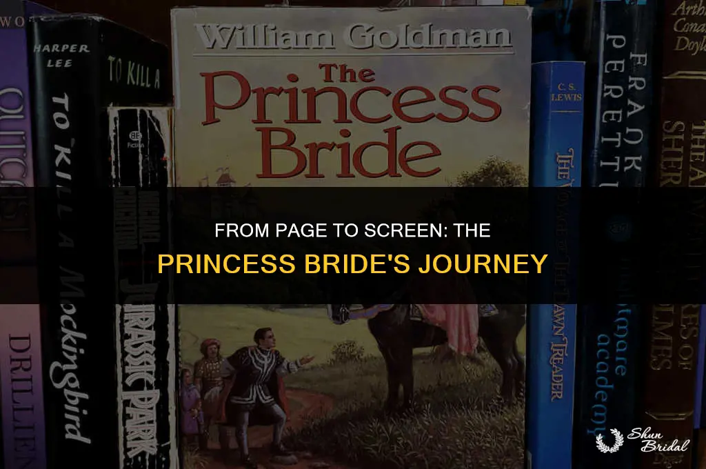 was the princess bride a book