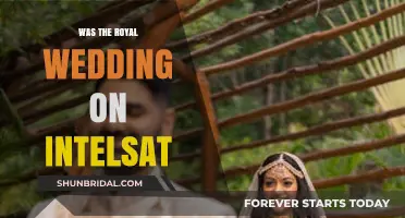 Royal Wedding Broadcast: The Role of Intelsat in Global Coverage