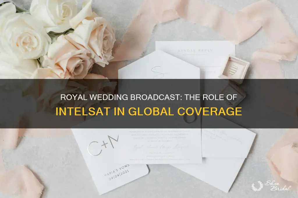 was the royal wedding on intelsat