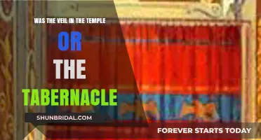 Temple Veil vs. Tabernacle: Unveiling the Biblical Mystery