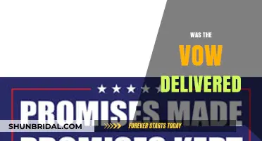 Was the Vow Delivered? Examining Promises Made and Kept