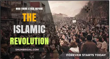 Veils Before the Islamic Revolution: Uncovering Pre-1979 Iran's Traditions