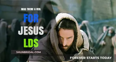 Exploring the LDS Veil and Its Connection to Jesus Christ