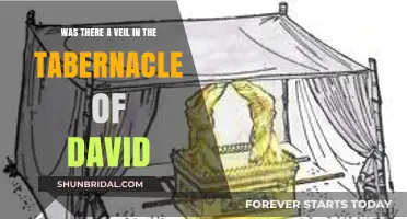 The Tabernacle of David: Unveiling the Mystery of the Veil
